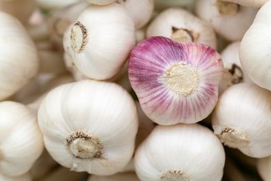 Garlic powder HT FR